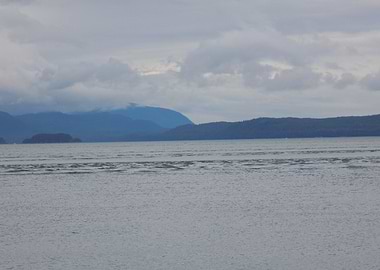 Visible Water Currents