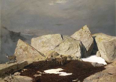 Chamois in a Rocky Mountain Landscape