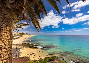 Tropical Beach Paradise with Palm Trees, Fuerteventura