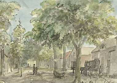 Tree-lined street with horse-drawn carriage