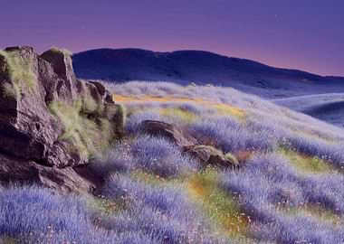 Dreamy Lavender Field Landscape