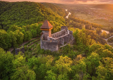 Ancient Castle Ruins in Lush Forest