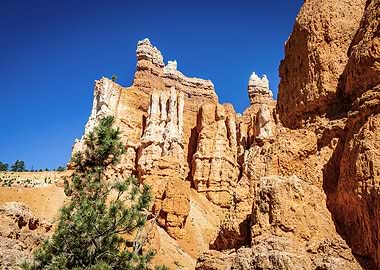 Bryce Canyon Hoodoos Under Blue Sky