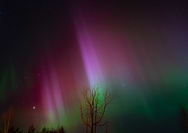 Aurora Borealis Norway