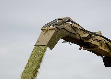 Agricultural Harvester Chute