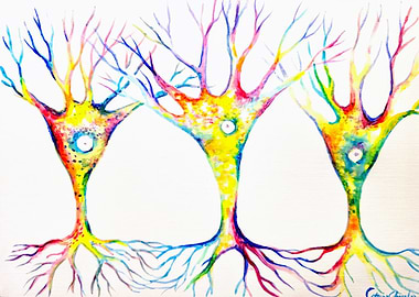 Colorful Neurons with Roots