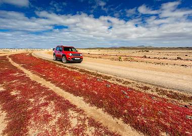Red Jeep on a Desert Road, Canary Islands