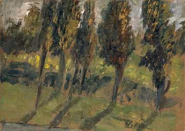 Impressionistic Trees and Shadows