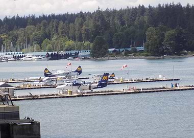 Seaplanes docked at a marina