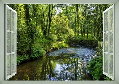 Forest Stream Through Open Window