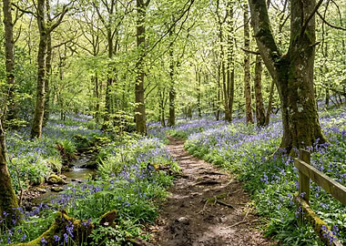 Enchanting Bluebell Forest Path