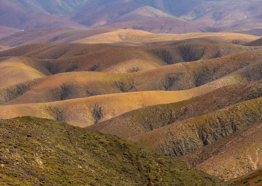 Rolling desert hills under sunlight, Fuerteventura