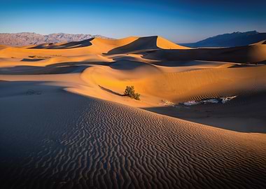 Golden Sand Dunes at Sunset