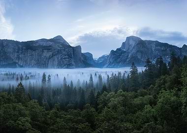 Yosemite Valley Foggy Morning