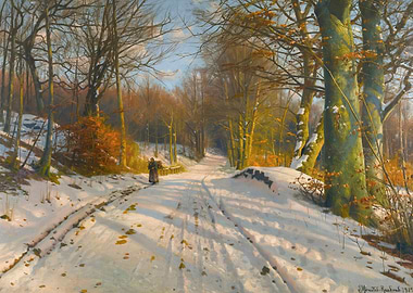 Winter Forest Path with Woman