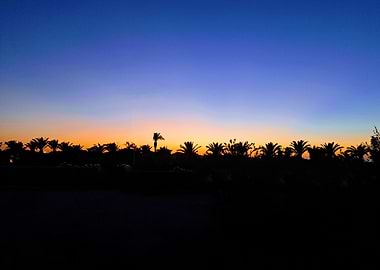 Sunset over palm trees