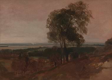 Misty Landscape with Tree