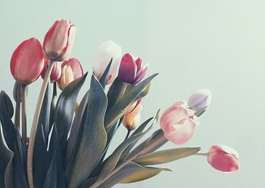 Bouquet of Colorful Tulips vintage