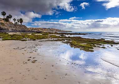 Coastal landscape with rocky shore and palm trees