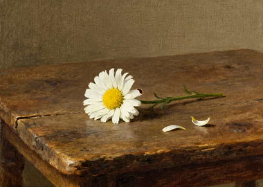 Single Daisy on Wooden Table