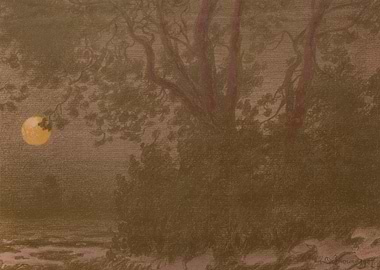 Moonlit Forest Scene with Tree Branches