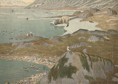 Arctic Wildlife Scene