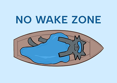 No Wake Zone Cat