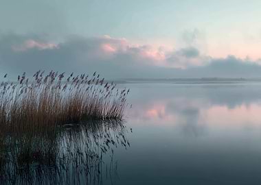 Misty Lake at Sunrise with Reeds