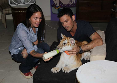 Megan Fox and Brian Austin Green feeding a tiger cub