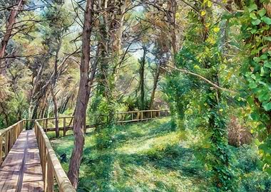Wooden boardwalk through a lush forest