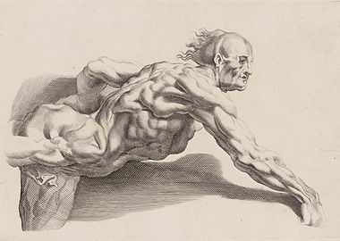 Anatomical Study of a Muscular Man