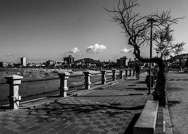 Seaside Promenade Piriapolis with Cityscape