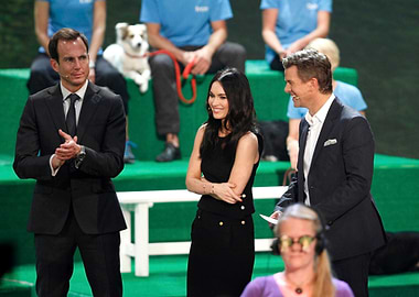 Celebrities on a green stage with dogs