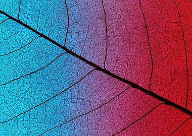 Macro leaf veins with gradient