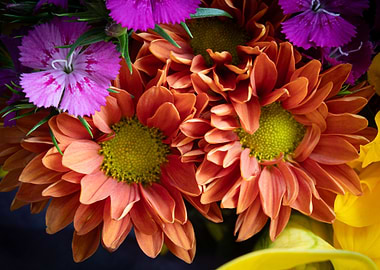 Vibrant Floral Arrangement