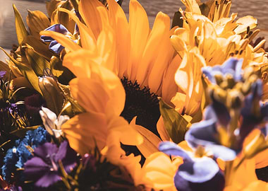 Close-up of a vibrant sunflower bouquet