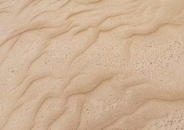 Sand Dunes with Ripples