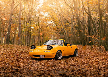Yellow convertible car in autumn forest
