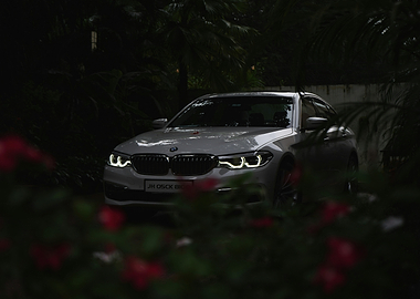 White BMW Sedan in Lush Greenery