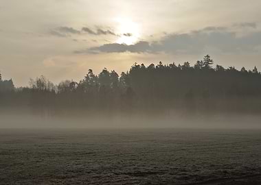 Misty Forest Sunrise Over Field