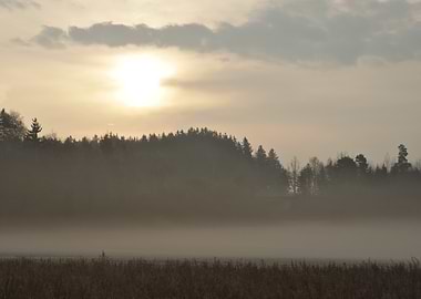 Misty Forest Sunrise Over Water