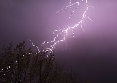 Lightning Strike Over Trees