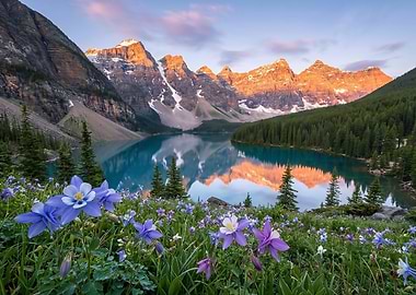 Moraine Lake Sunrise with Wildflowers