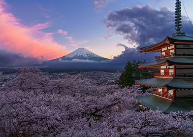 Mount Fuji at sunset with Pagoda and Cherry Blossoms