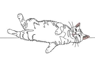 One Line Drawing of a Cat Lying Down