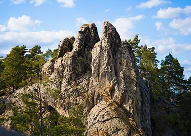 Jagged Rock Formation Amidst Pine Trees
