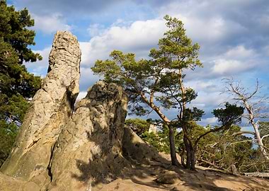 Rocky outcrop with pine trees