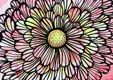 Watercolor Flower Illustration