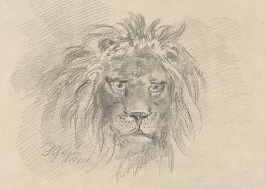 Pencil Sketch of a Lion's Face