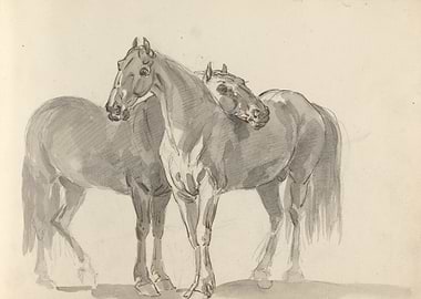 Two Horses Sketch